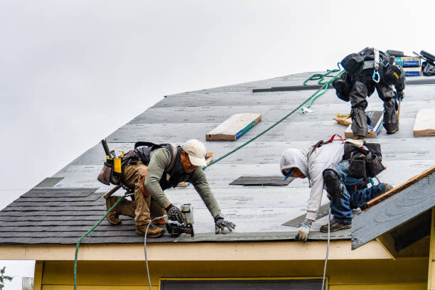 Professional Flat Roof Repair technician working in Amboy, IL